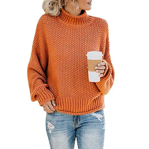 Women's Sweater Long Sleeve Sweaters & Cardigans Braid Fashion Solid Color